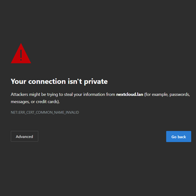 Encrypt and resolve your self-hosted services