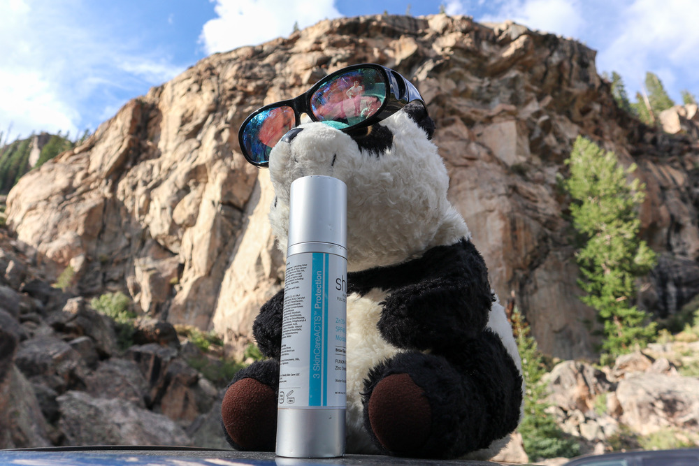 A drinking panda
